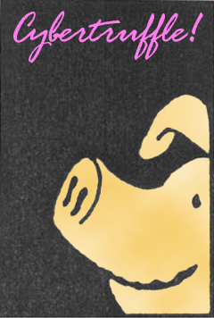 logo of the Cybertruffle Foundation