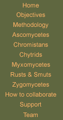 tabs lettering