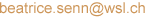 e-mail address of Dr B. Senn-Irlett