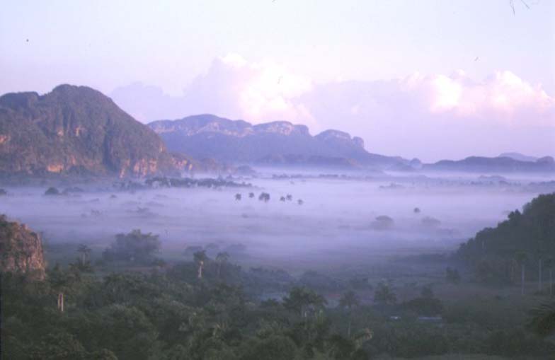 Morning mist in the Viñales Valley