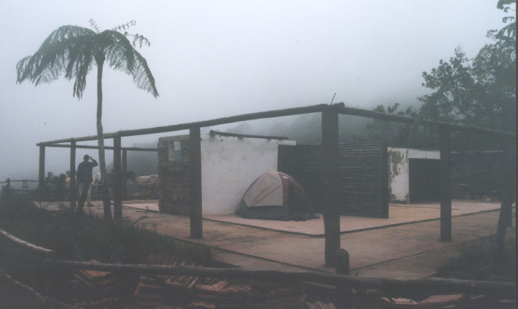A wet early morning: camping in the destroyed remains of the old field station at La Sabina, Alturas de Banao during the Darwin Initiative project Biodiversity Conservation in Cuba