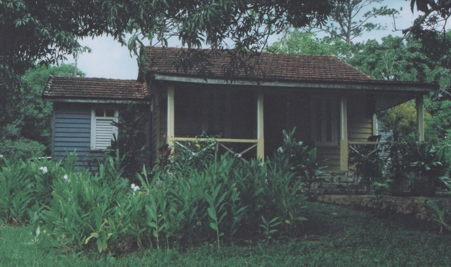 The old planter's mansion field station