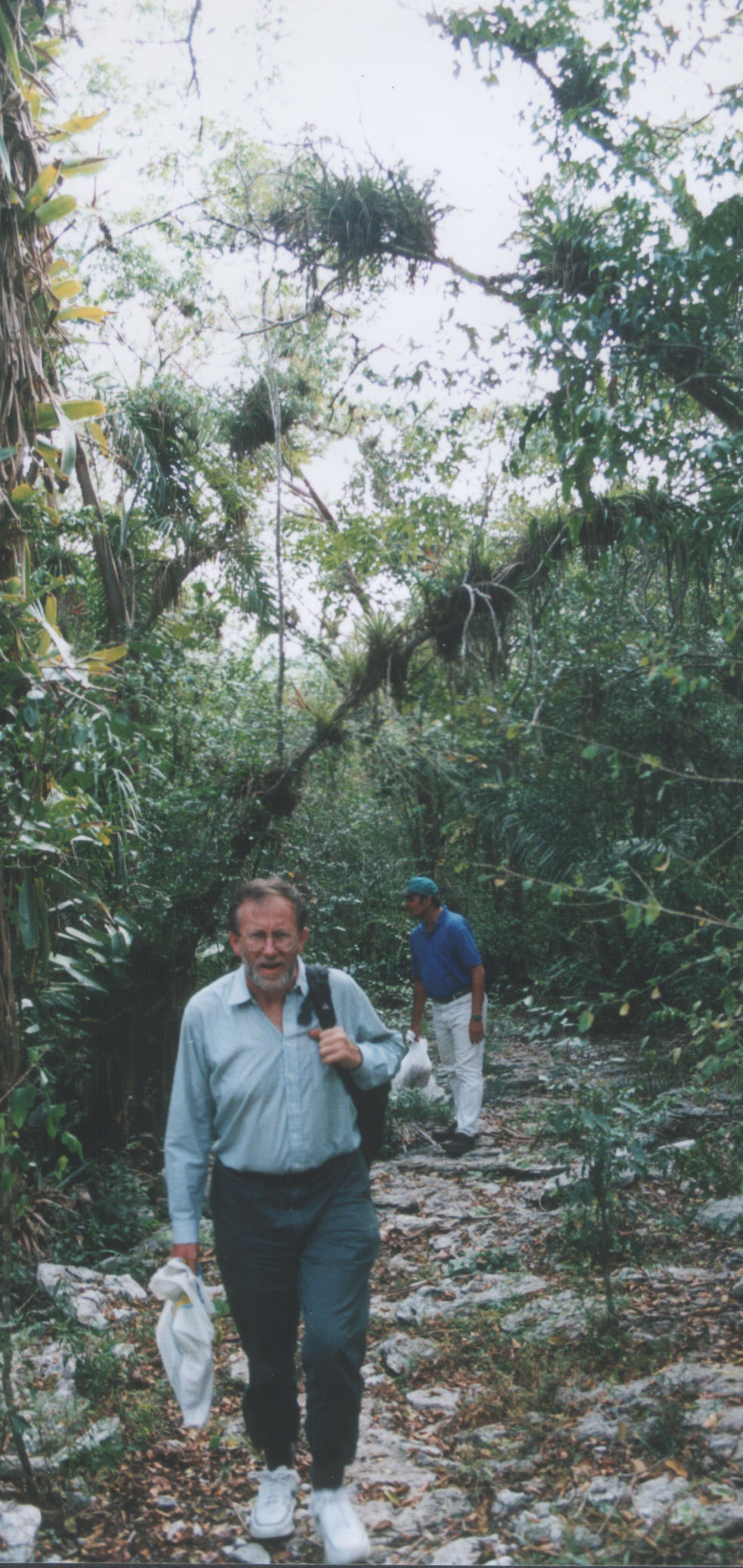 Surveying fungi on limestone pavements near Viñales