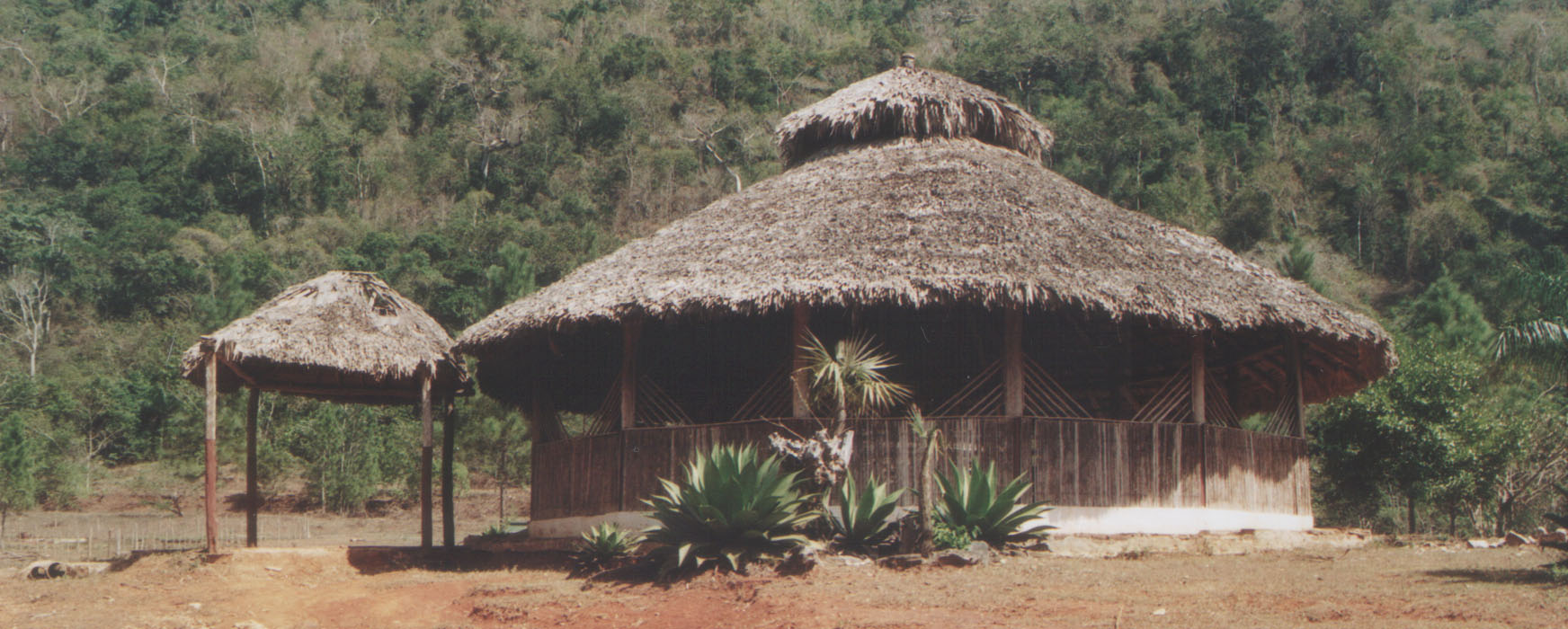 The old cockpit at Jarico, proposed as a new visitors' centre