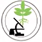 Logo of INIFAT
