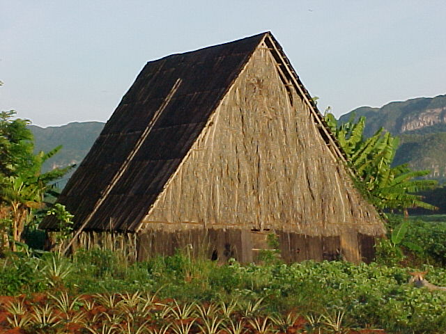 tobacco house