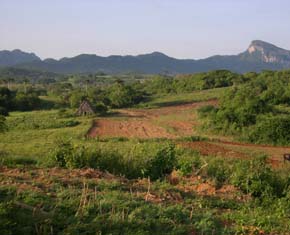 tierras cultivadas en el Valle de Viñales