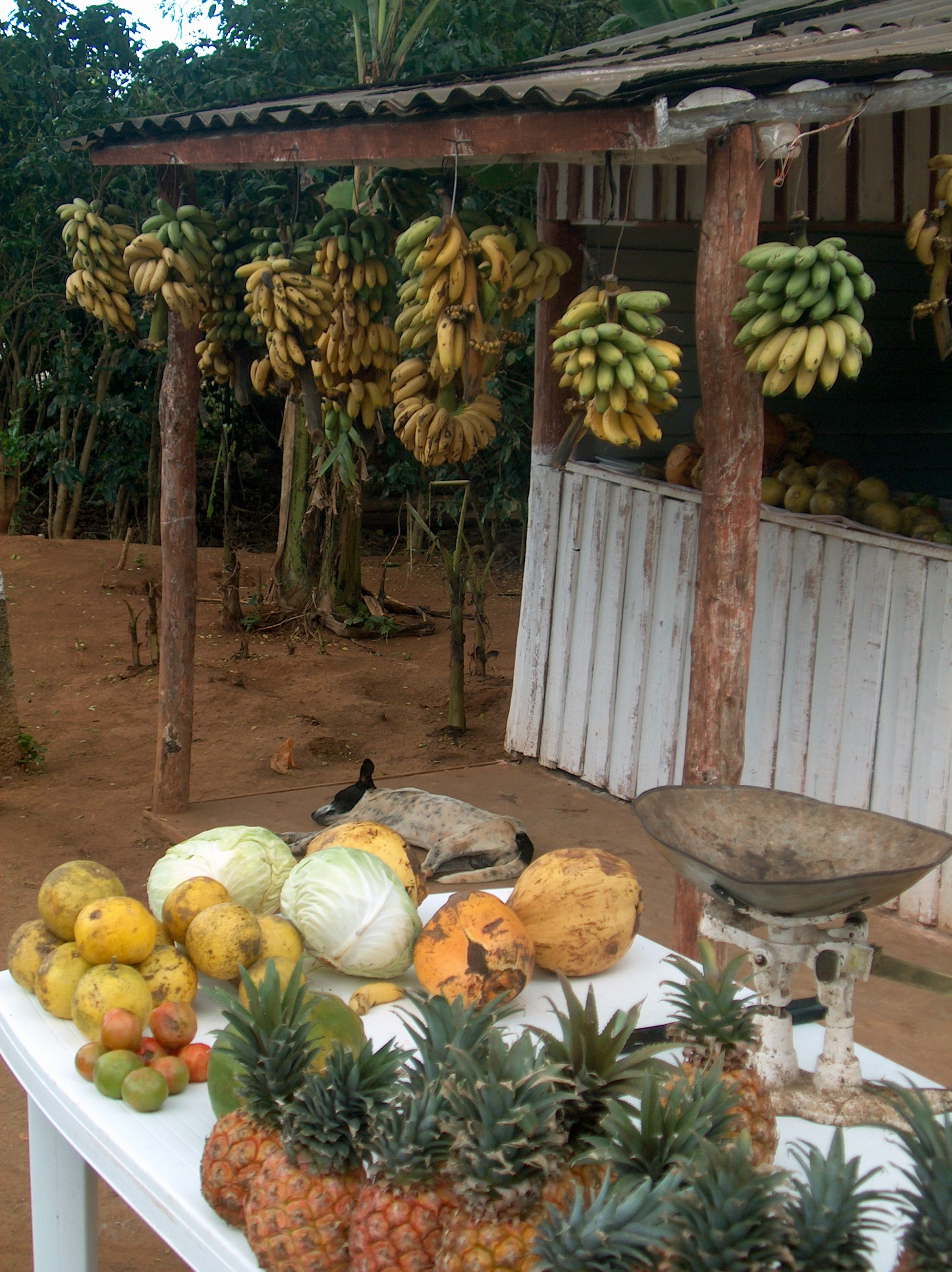 fruit and vegetables on sale in Vi&ntilde;ales