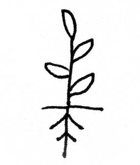 herbs <click to continue>