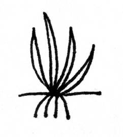 herbs <click to continue>