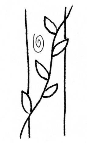 lianas <click to continue>