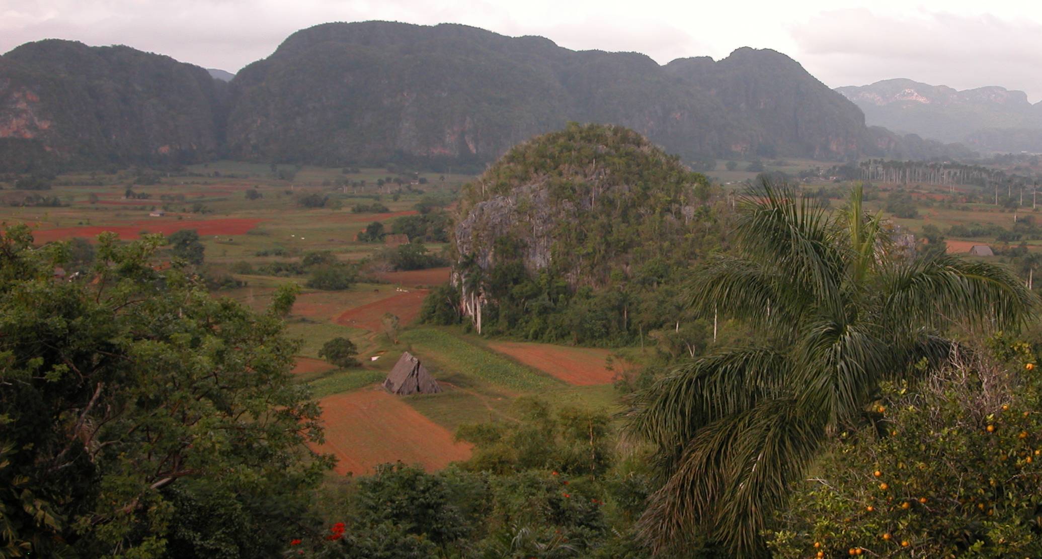 Vista del valle de Vi&ntilde;ales y los mogotes / View of the Vi&ntilde;ales valley and its mogotes